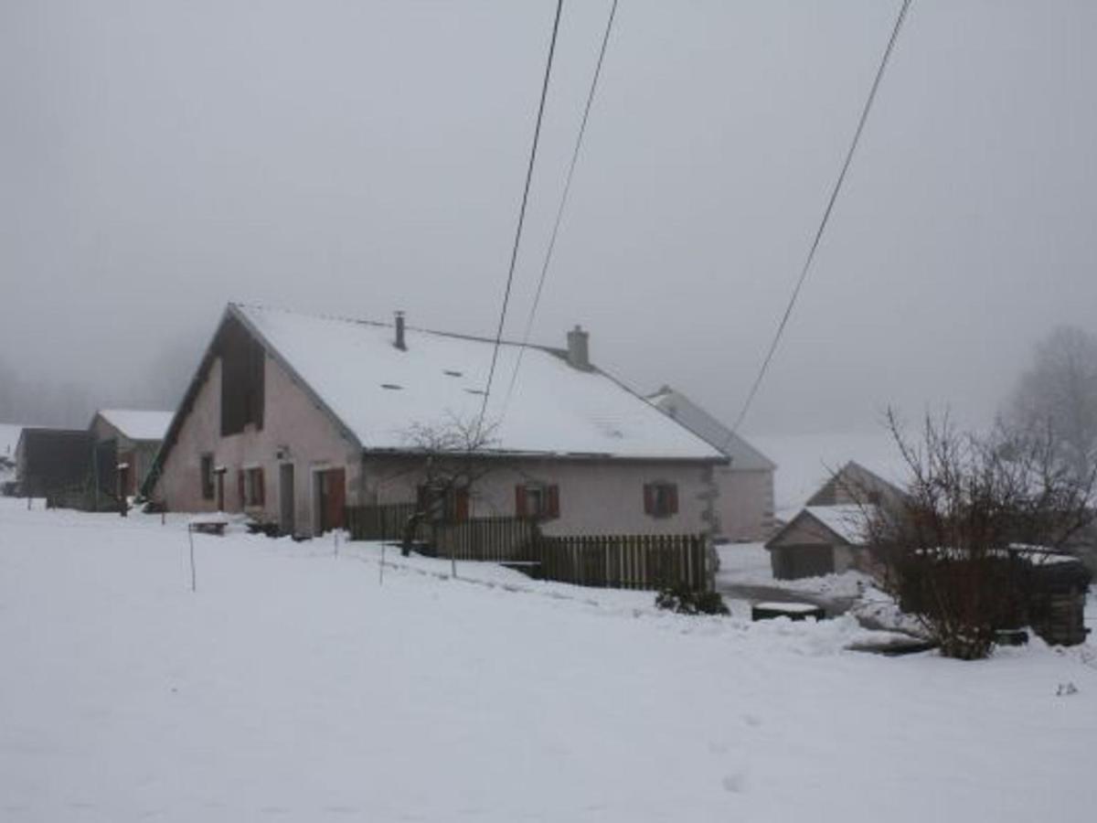 Girmont-Val-dʼAjol Gite Paisible A 650M D'Alt., Nature, Cheminee, 3 Ch. Pres De Remiremont & Plombieres, Terrasse, Grand Terrain - Fr-1-589-50 מראה חיצוני תמונה