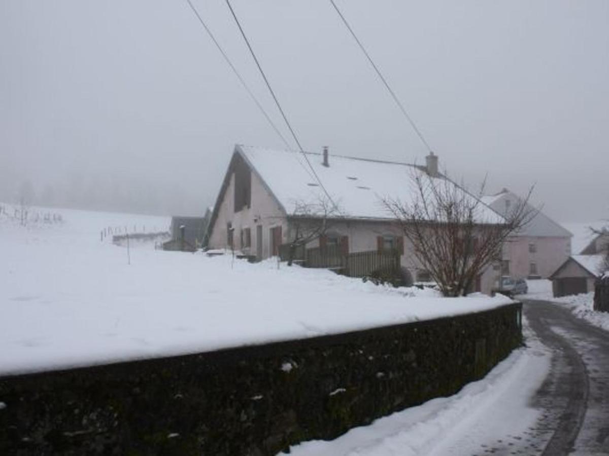 Girmont-Val-dʼAjol Gite Paisible A 650M D'Alt., Nature, Cheminee, 3 Ch. Pres De Remiremont & Plombieres, Terrasse, Grand Terrain - Fr-1-589-50 מראה חיצוני תמונה